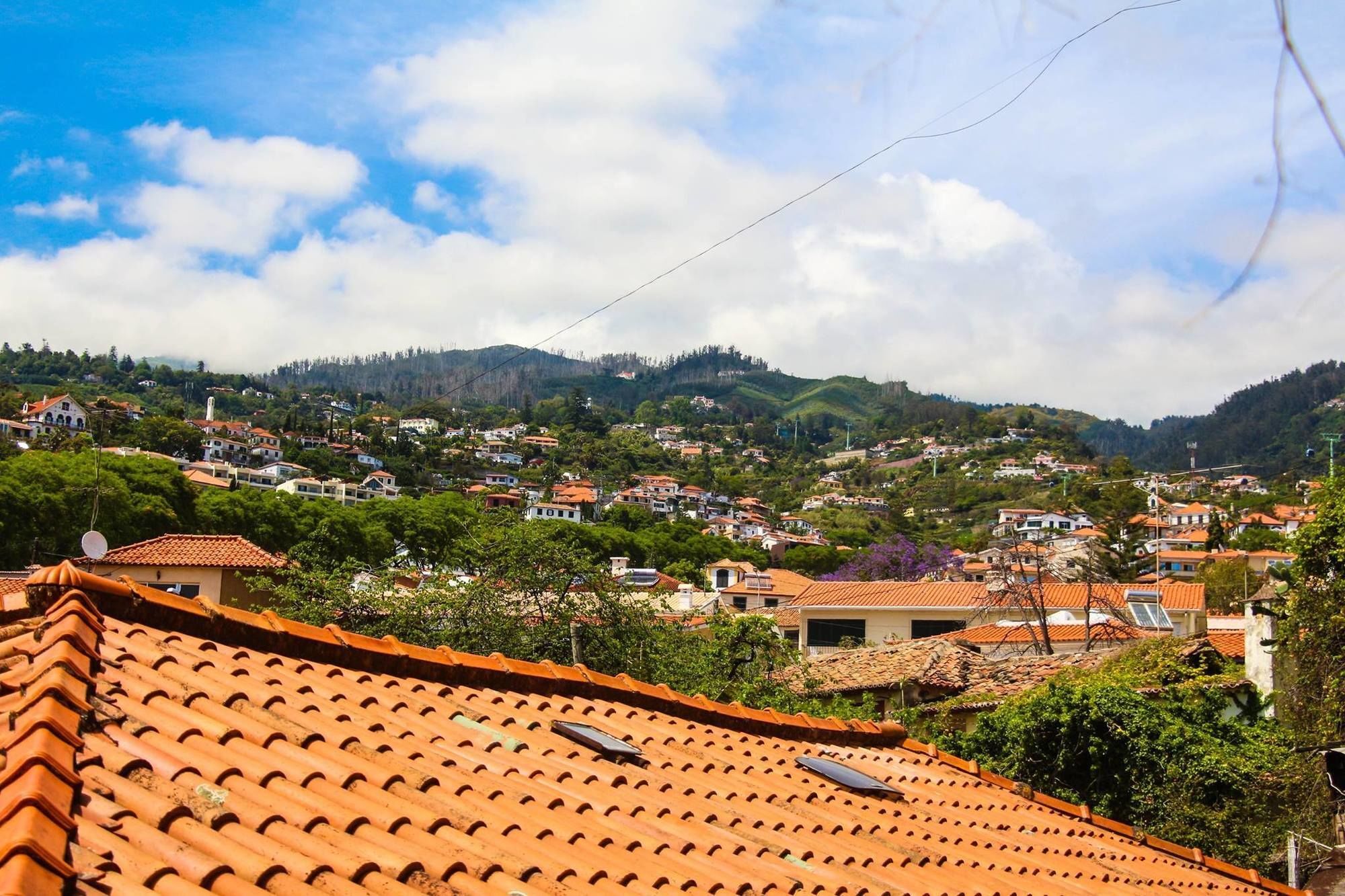 Fx Hostel Funchal Dış mekan fotoğraf